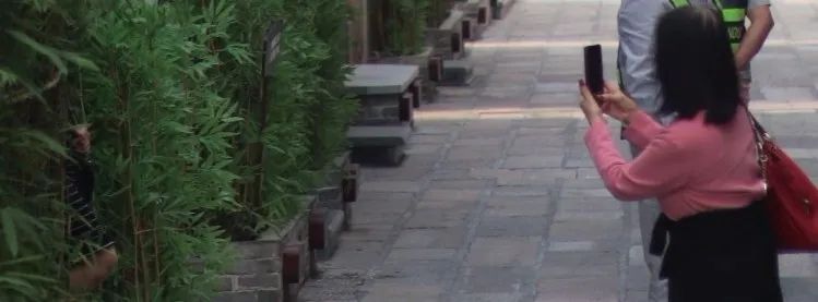 ccdaa8e75b86502866de744c2f239a7.jpg 圖片