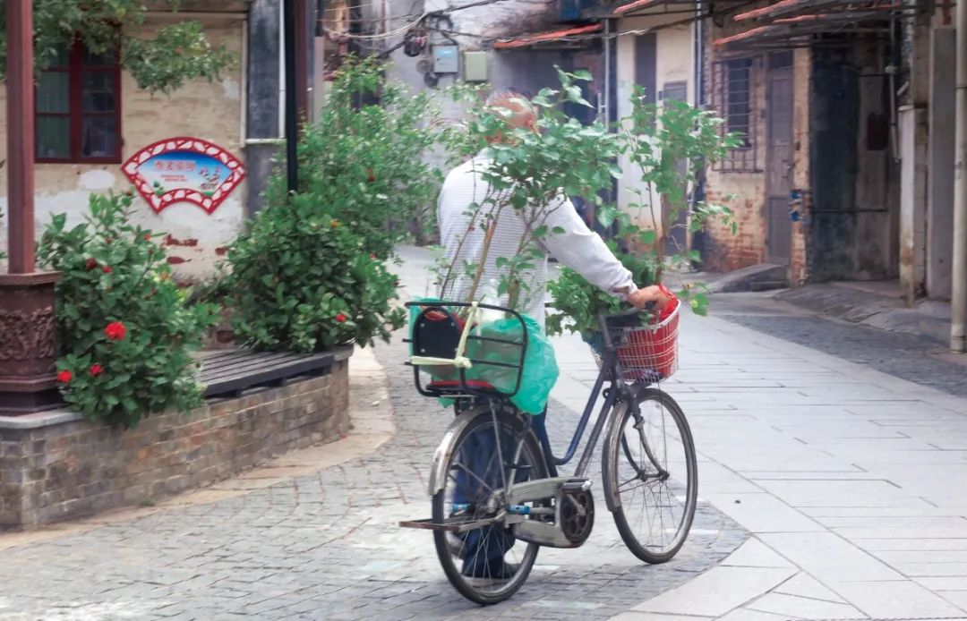 d4a5152df1ee1bac370802973f18931.jpg 圖片