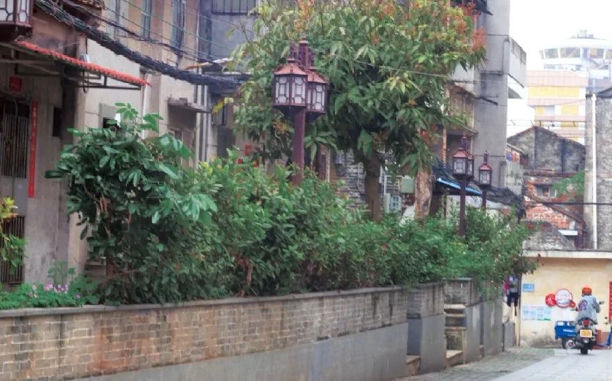 443cbdeaa4132b03f96eae9328349a7.jpg 圖片