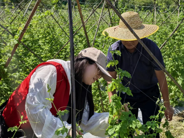 轉(zhuǎn)存圖片