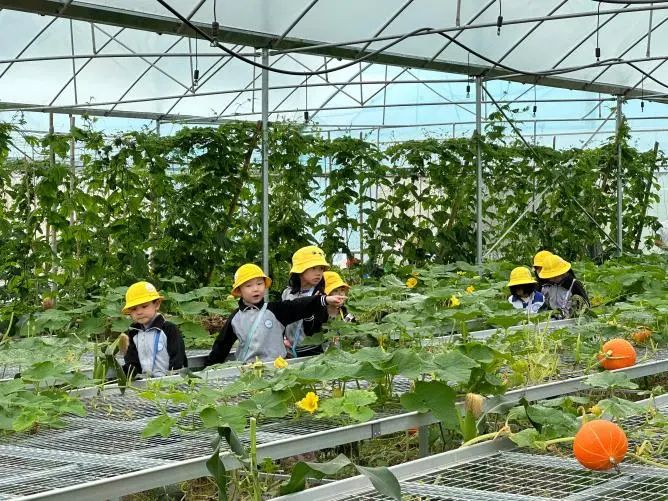 轉(zhuǎn)存圖片