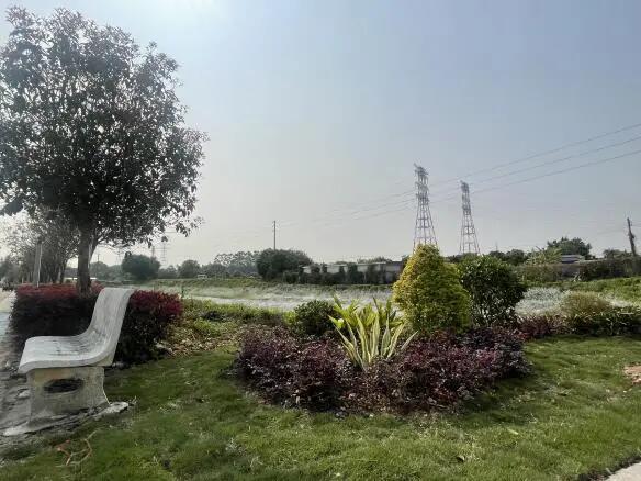 640 - 2025-04-08T093315.994.jpg