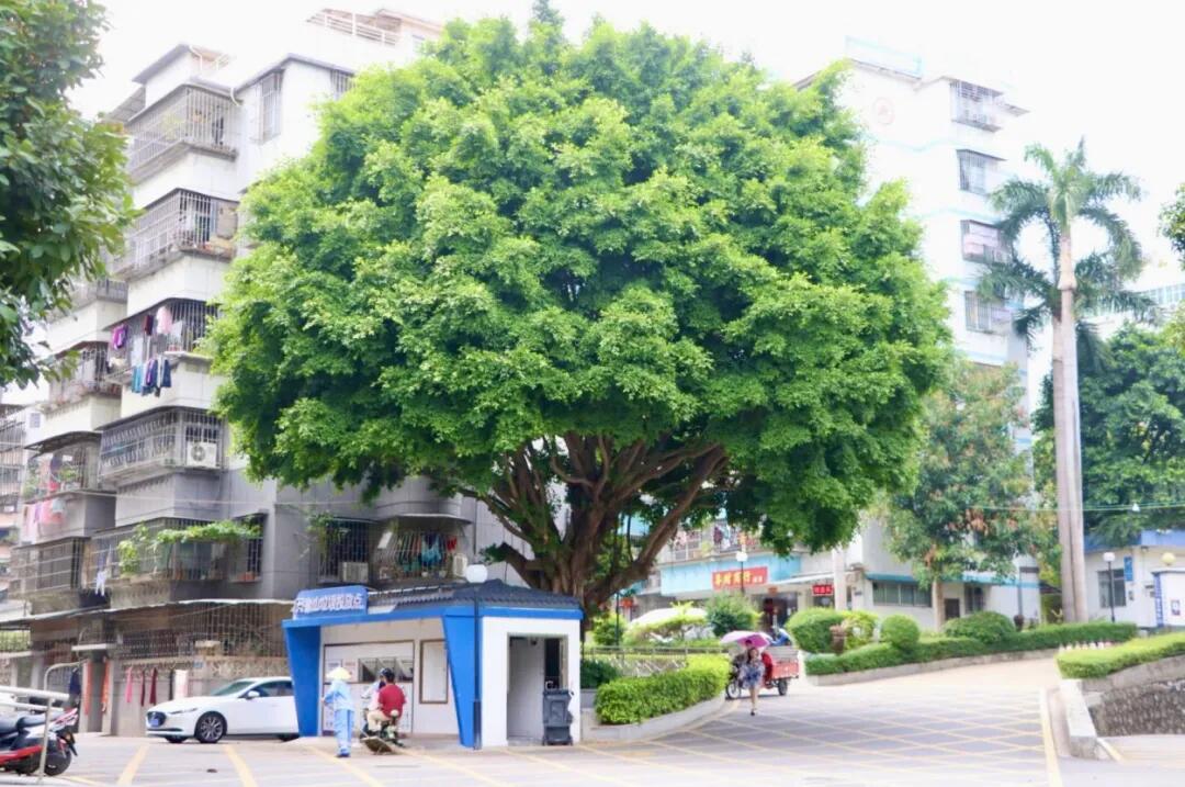 640 - 2025-04-11T144952.178.jpg