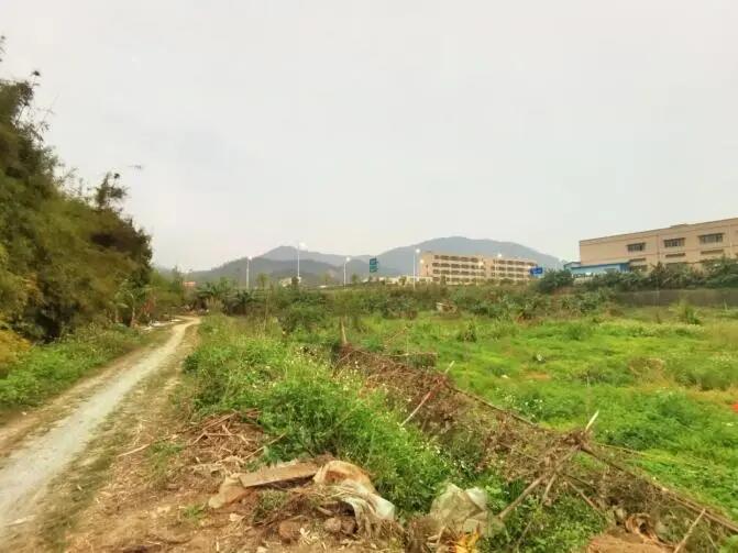 640 - 2025-05-06T105048.436.jpg