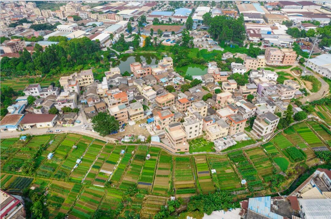 640 - 2025-06-03T113924.306.jpg