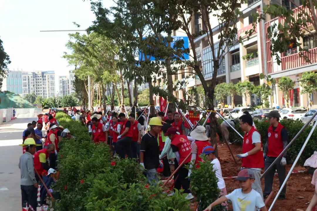 640 - 2025-07-11T150628.441.jpg