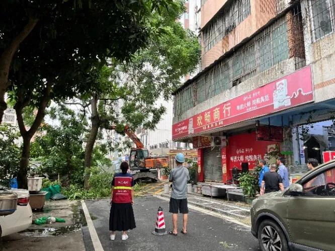 640 - 2025-08-01T093118.127.jpg