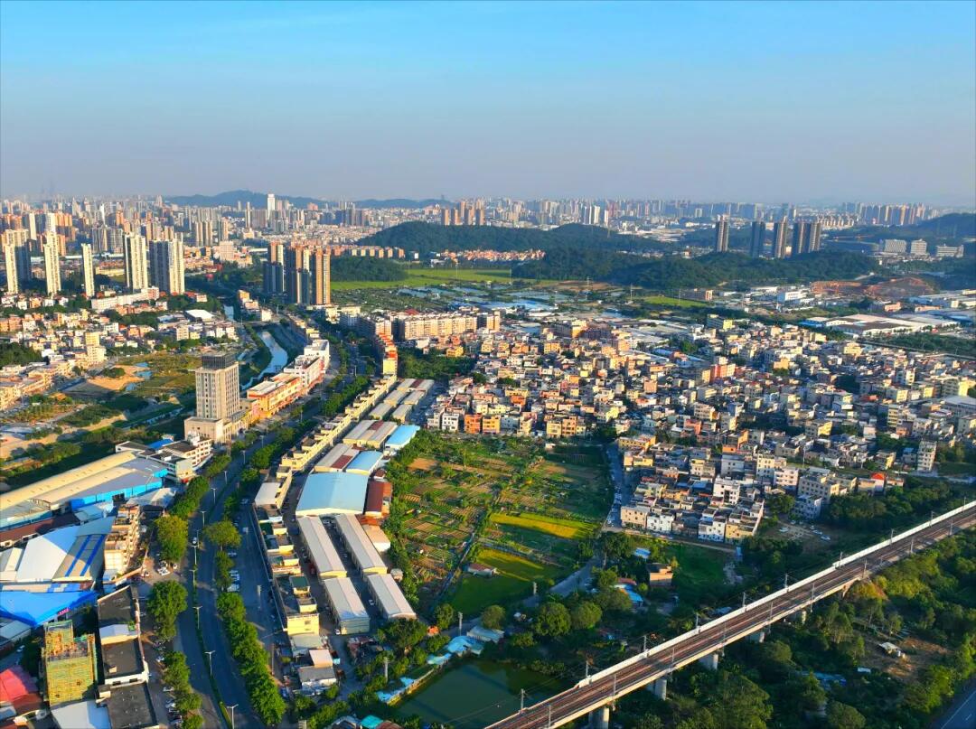 640 - 2025-08-19T090634.547.jpg