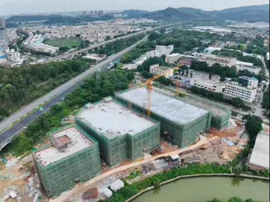 640 - 2025-08-19T090641.785.jpg