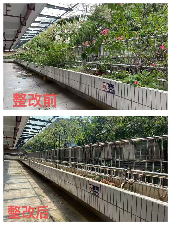 蓬江幼兒園.jpeg